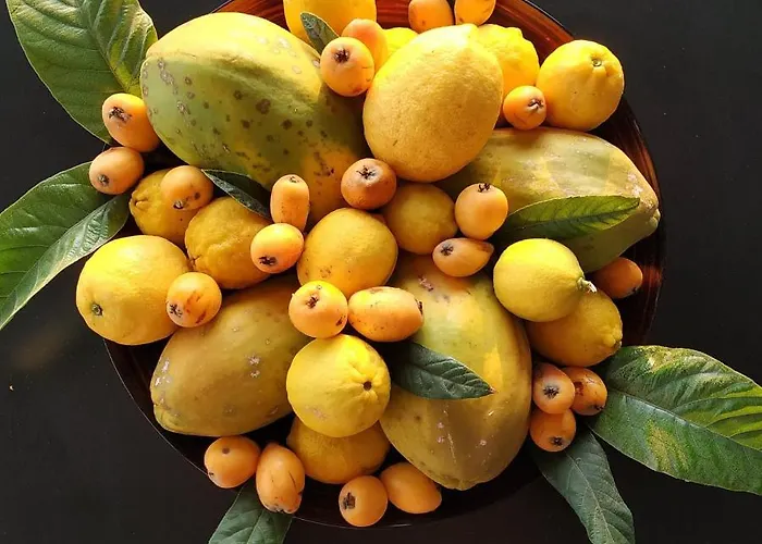 Mercedes Casa de Campo Faro